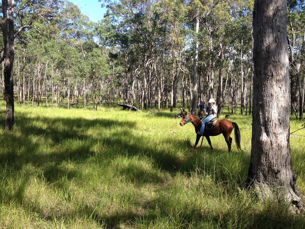 Susan River Homestead Hervey Bay Dış mekan fotoğraf