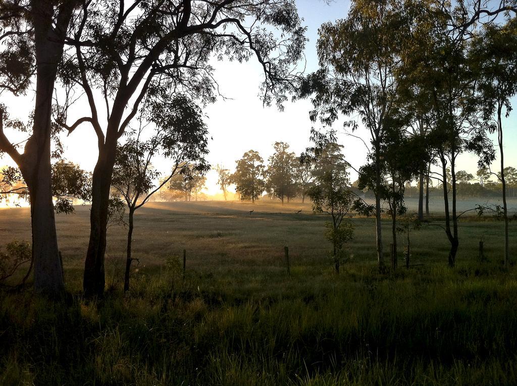 Susan River Homestead Hervey Bay Dış mekan fotoğraf