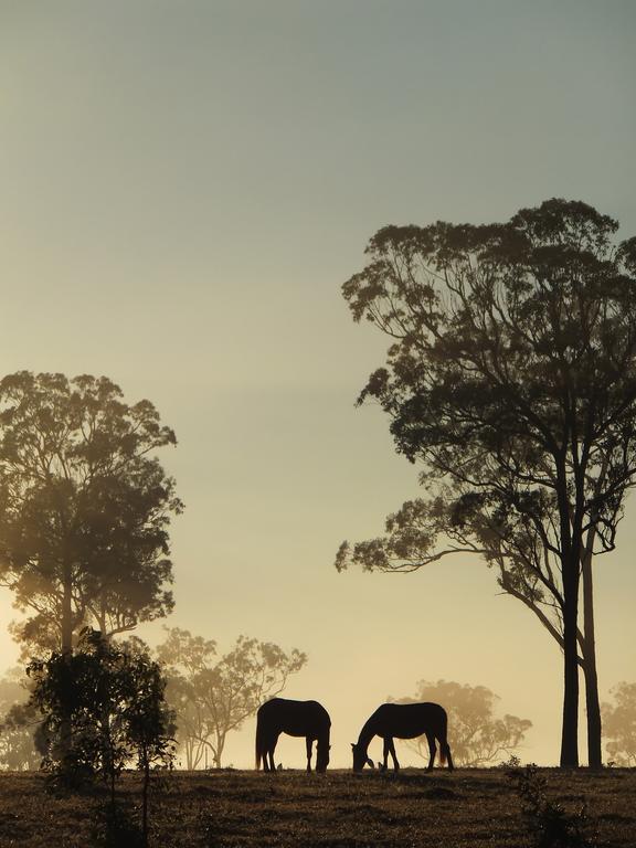 Susan River Homestead Hervey Bay Dış mekan fotoğraf